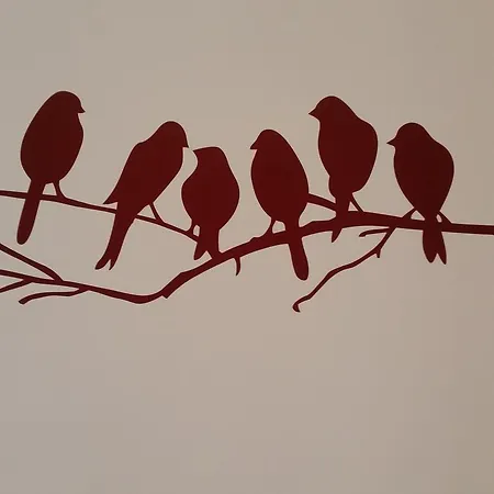 La Civetta Sul Como' La Spezia