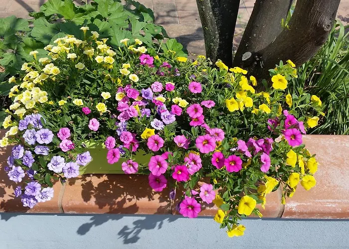 Semesterbostad La Civetta Sul Como'