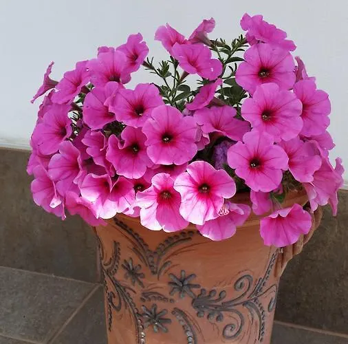 Semesterbostad La Civetta Sul Como' La Spezia